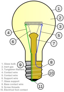 Incandescent light bulb cut-away