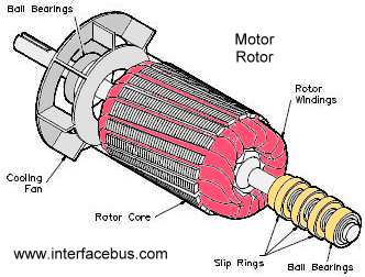 Motor Rotor